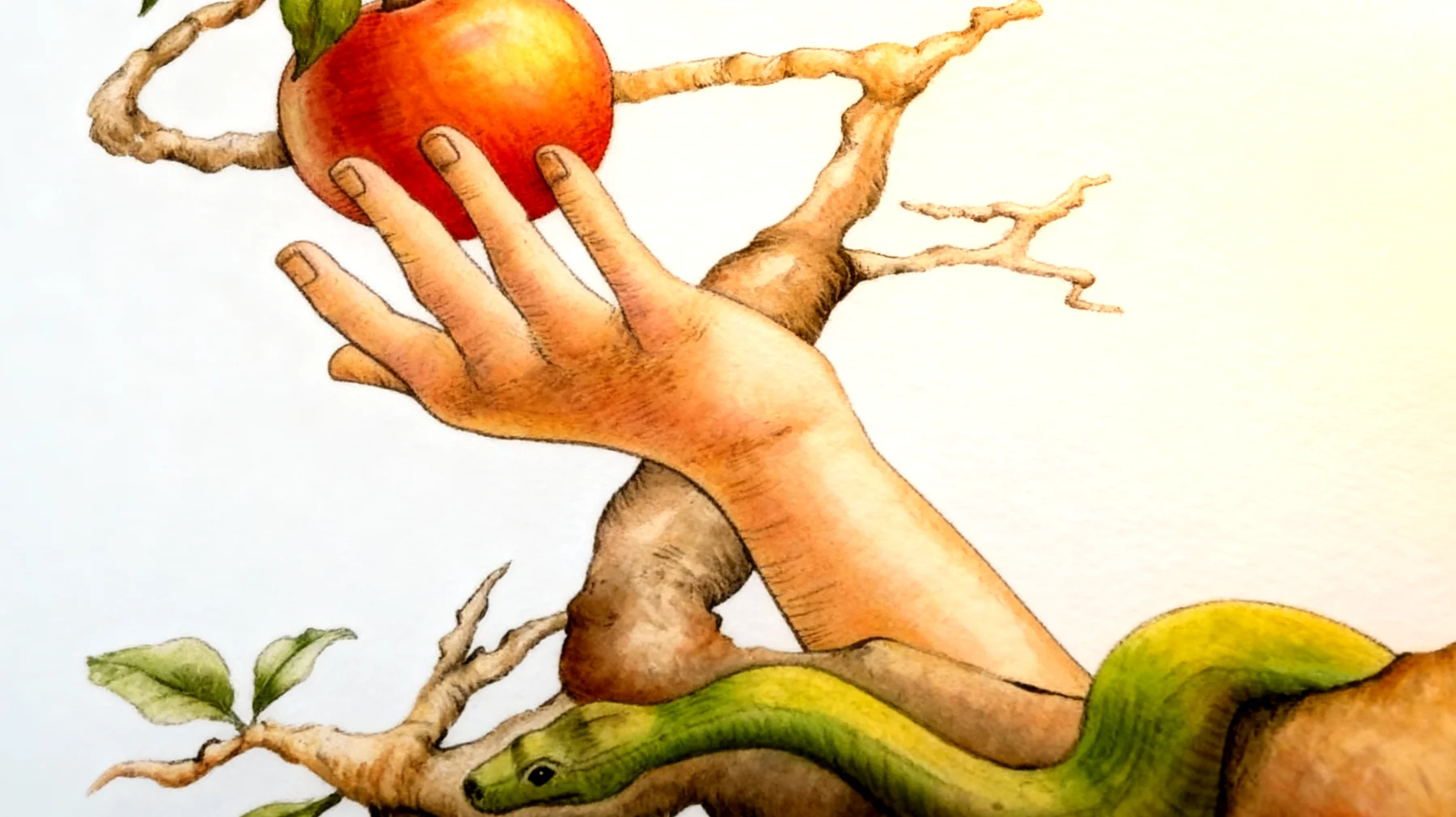 Forbidden Fruit2026-01-01T22:59:37.232Z"