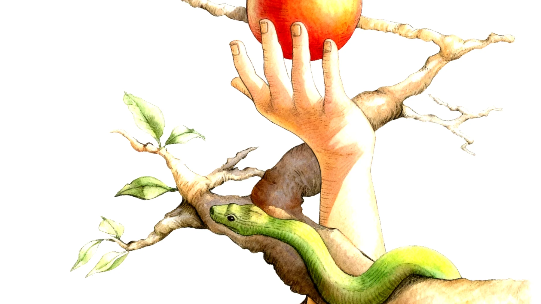 Forbidden Fruit2026-01-04T22:59:03.307Z"