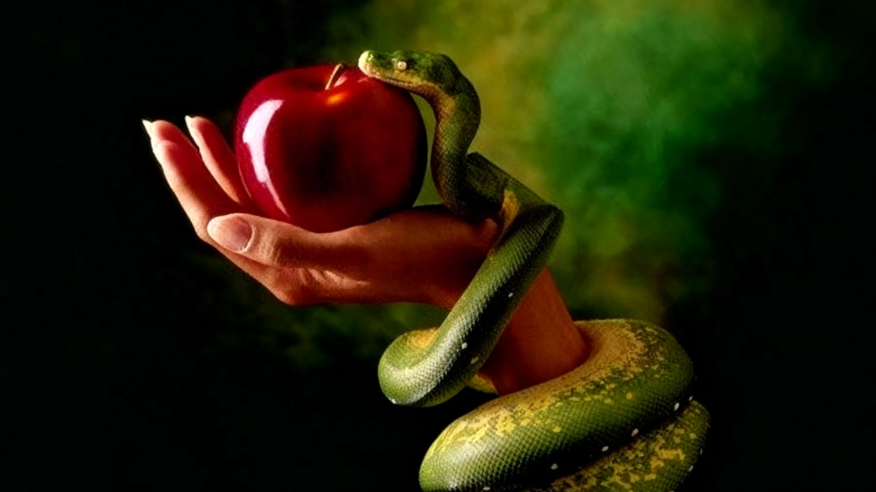 Forbidden Fruit2026-01-06T22:59:08.091Z"