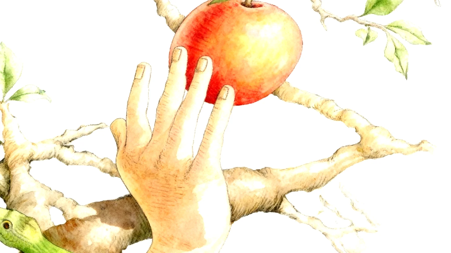 Forbidden Fruit2026-01-14T23:00:02.568Z"